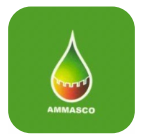 Ammasco